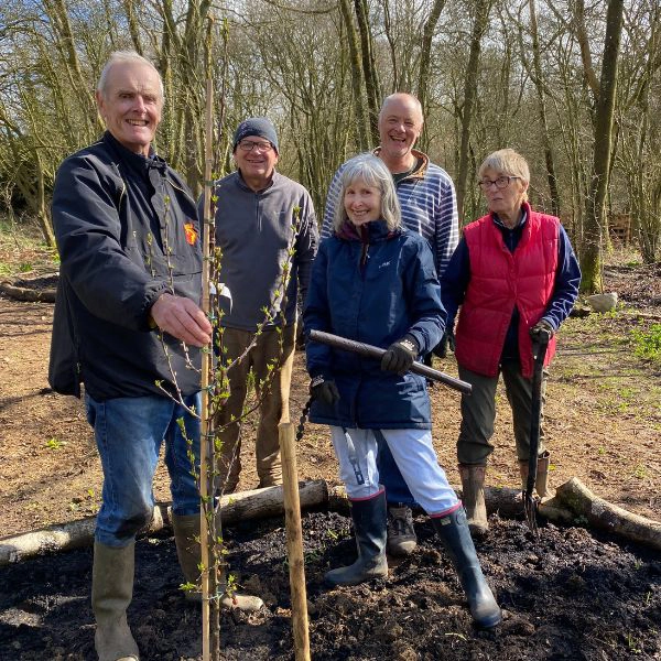 Hospice volunteer gardeners