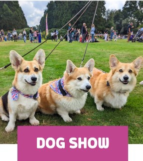 Dog show new