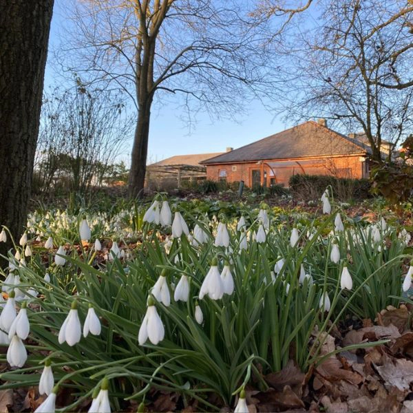 Hospice gardens