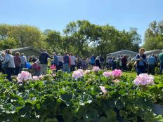 Plant sale