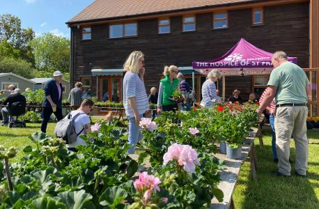 Plant-Sale