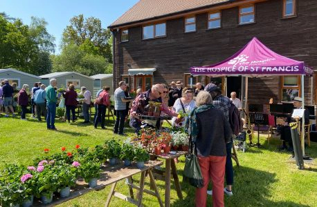 Plant-Sale