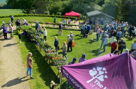 Plant-Sale