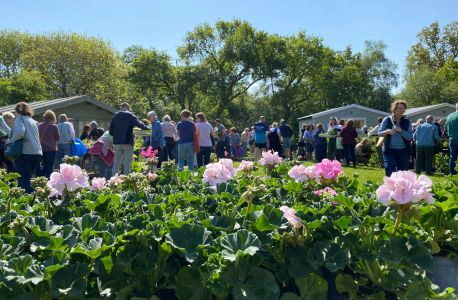 Plant-Sale